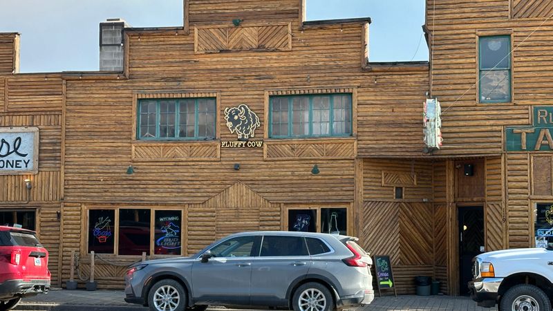 The Fluffy Cow - Dubois