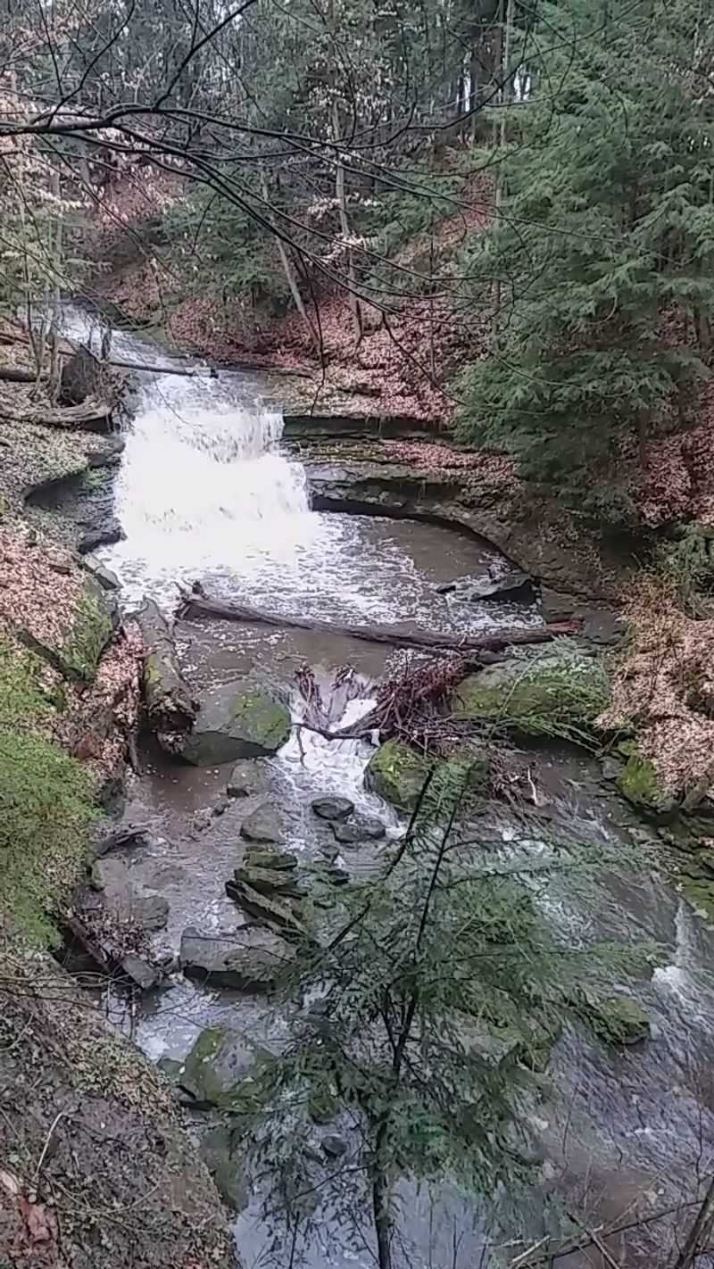 Bears Den Overlook Short Hop