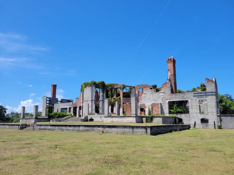 Dungeness Ruins and Wild Horses
