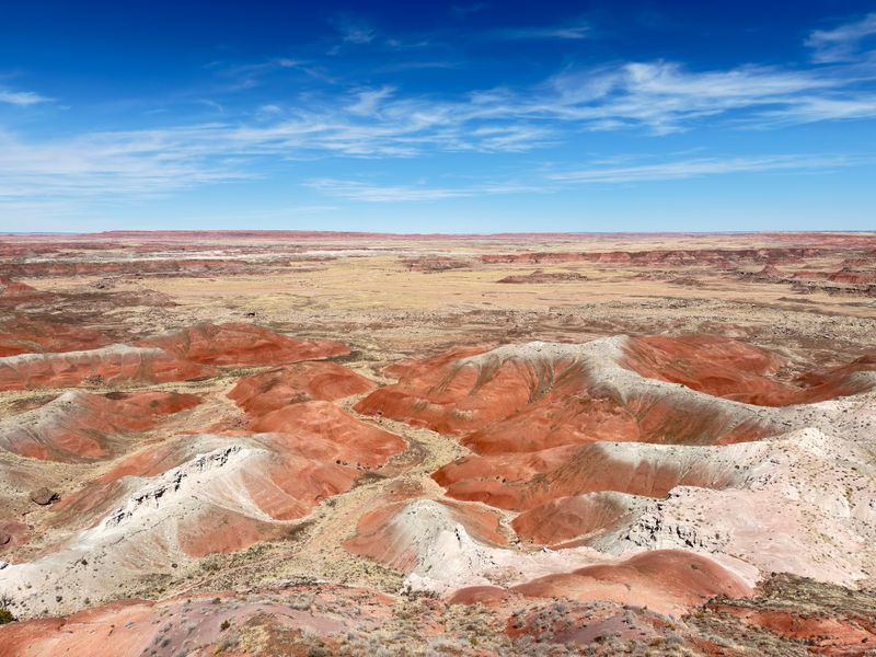 Petrified Forest National Park (Arizona)