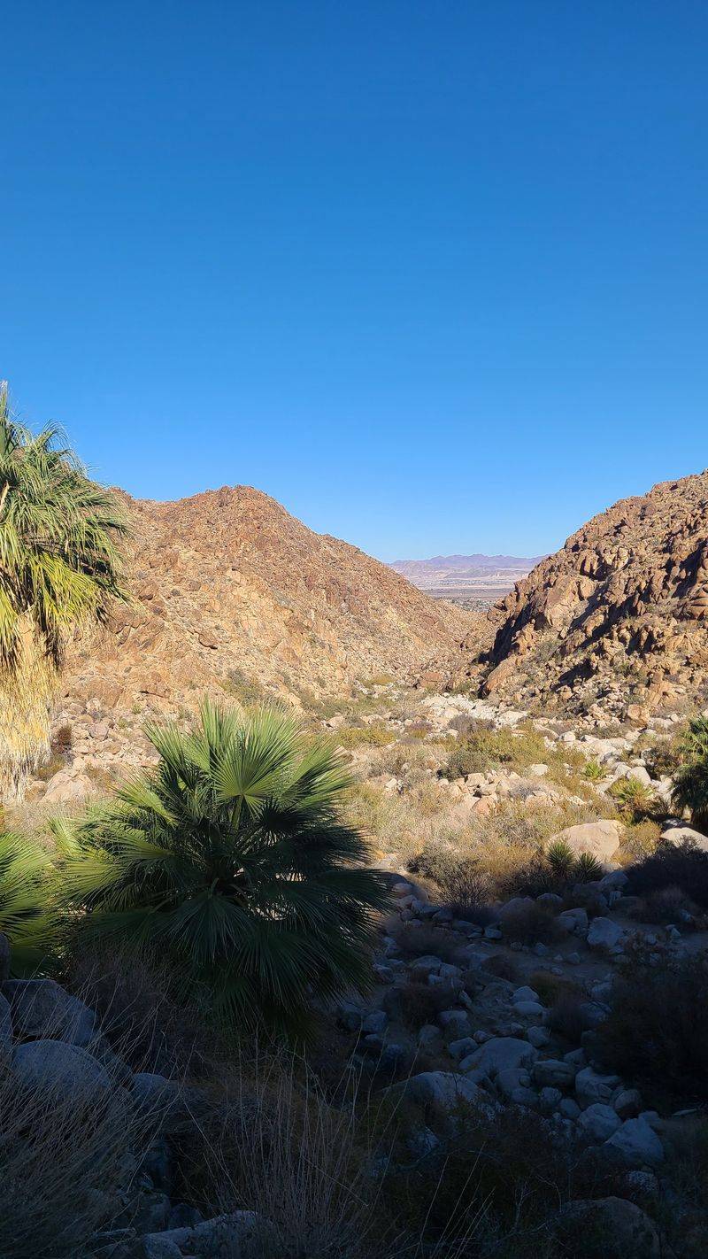 Fortynine Palms (49 Palms) Oasis Trail – Joshua Tree National Park, California