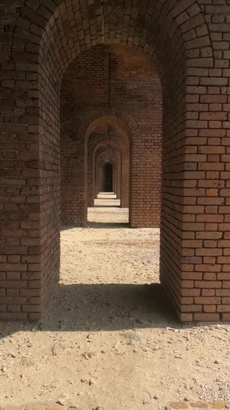 Photography Circles and Lines