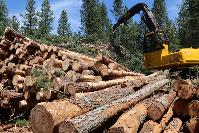 Lack of Economic Diversification