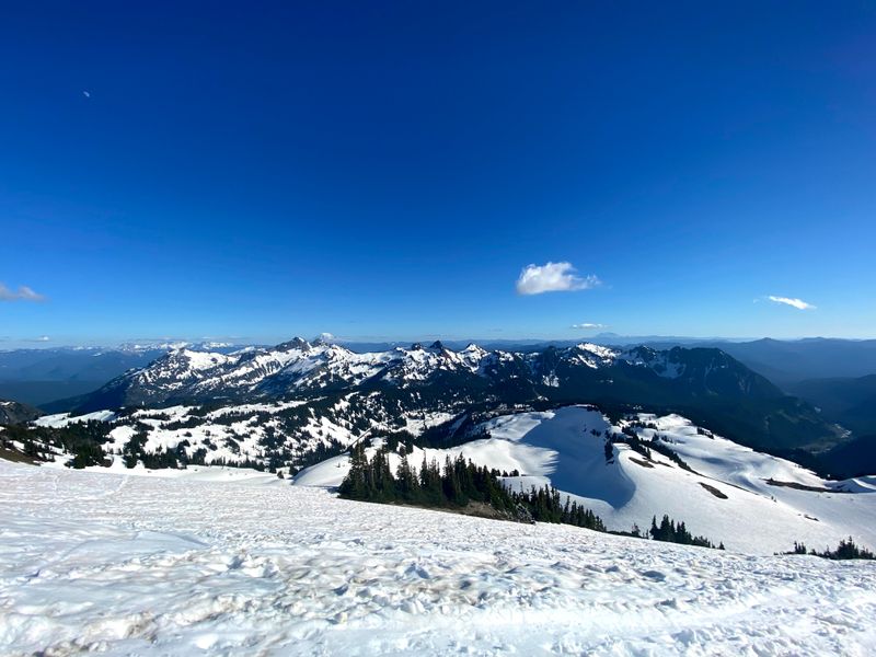 Panorama Point (Skyline Winter Route) – Mount Rainier National Park, Washington