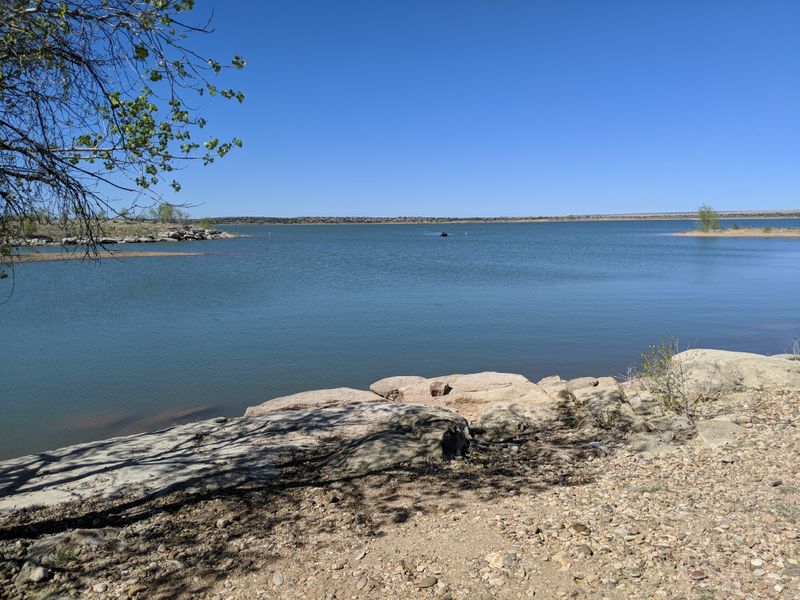 Fishing the Shoreline