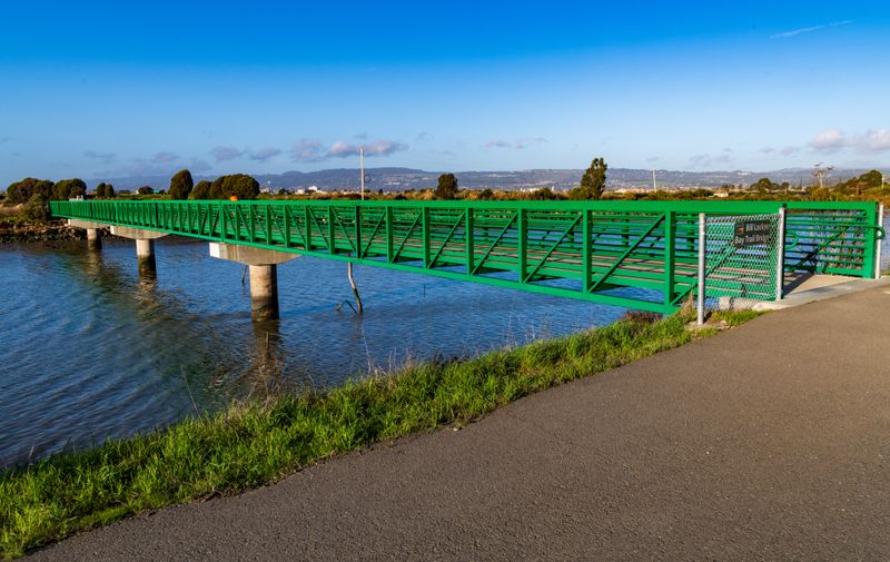 Shoreline Sunrise Photo Spot
