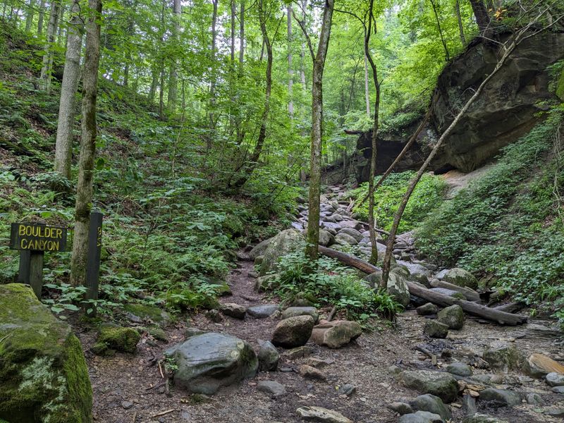 Turkey Run State Park, Indiana — ladders, ravines, and a 