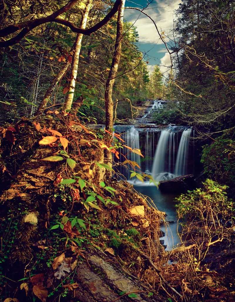 Brasstown Falls