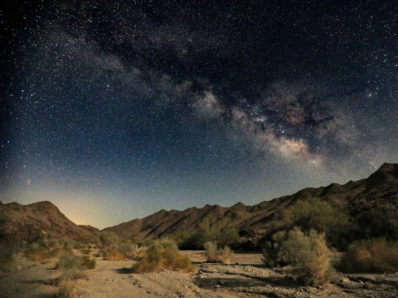 Chuckwalla National Monument: A Newly Protected Giant