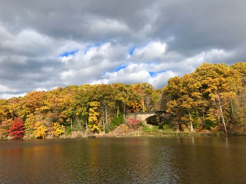 Newport Wetlands Sunrise Drift