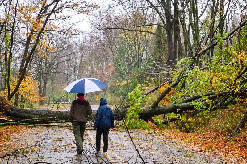 Rainfall, Landslides & Infrastructure Damage