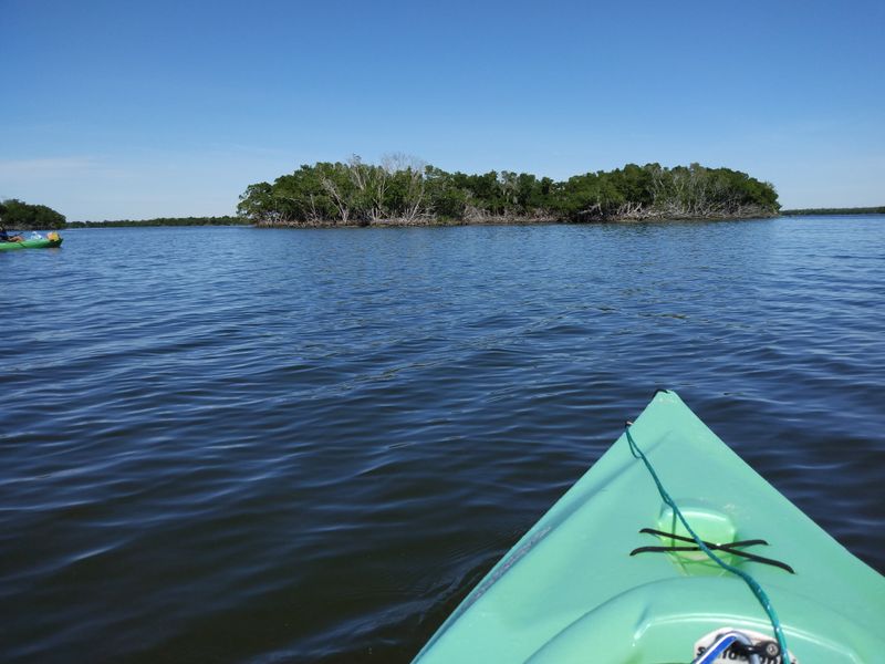 Ten Thousand Islands Near Everglades City