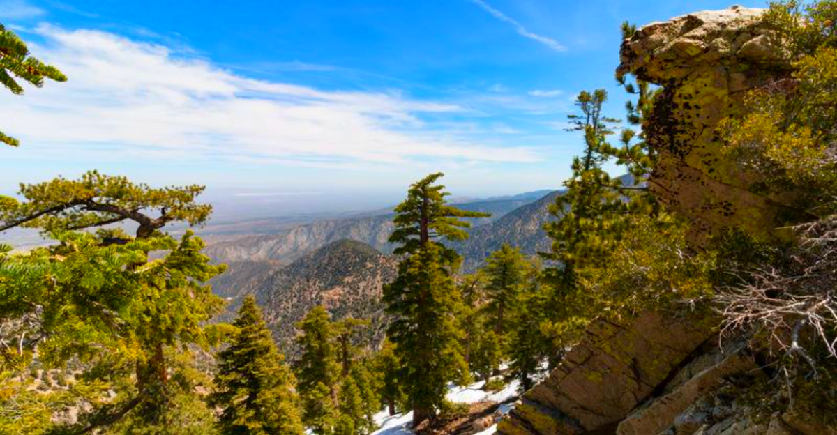 Explore America’s Rising Mountains: The U.S. Peaks Growing Taller Every Year