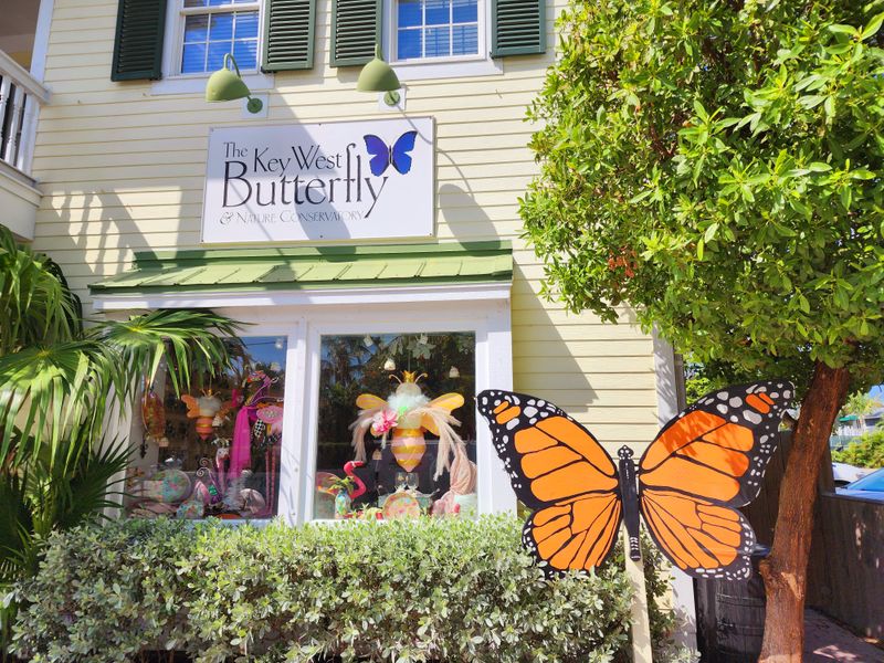 Walk Among Hundreds of Butterflies