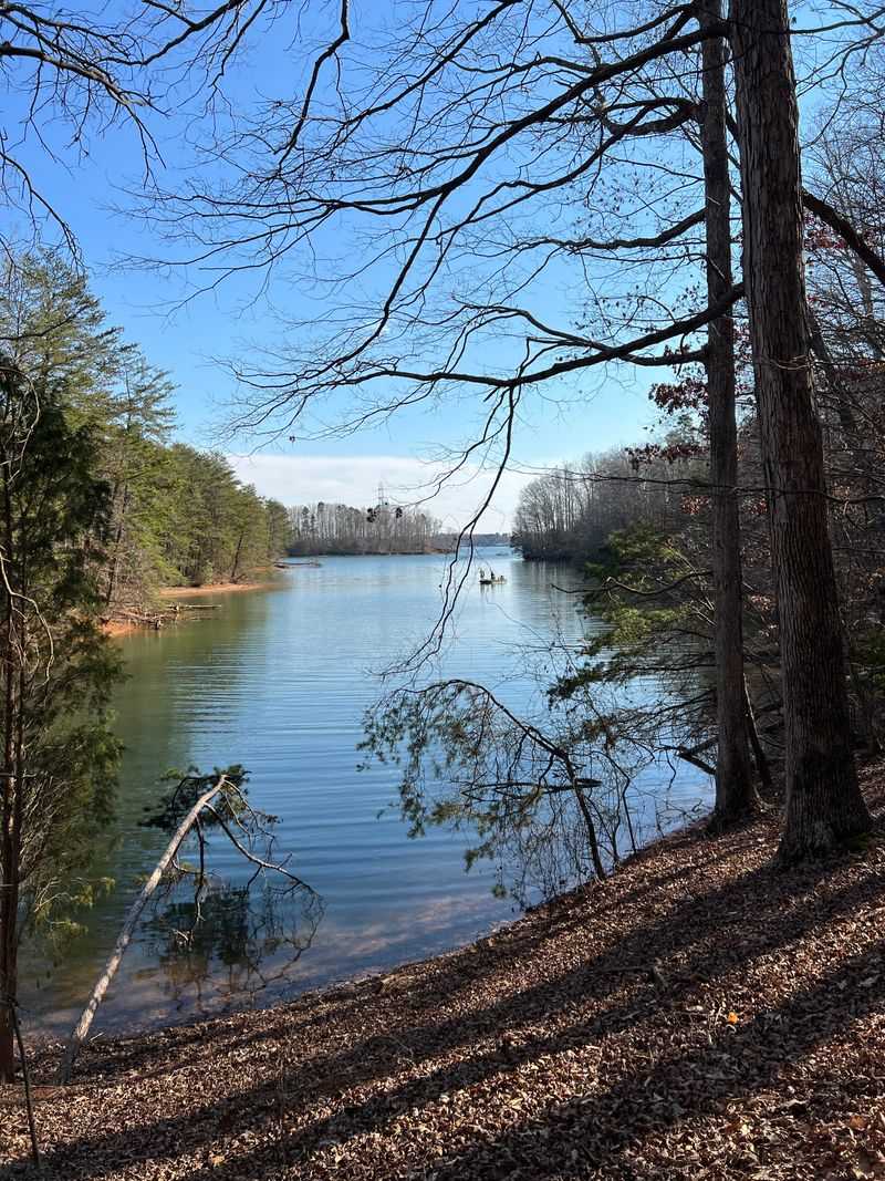 Birdwatching in the Coves