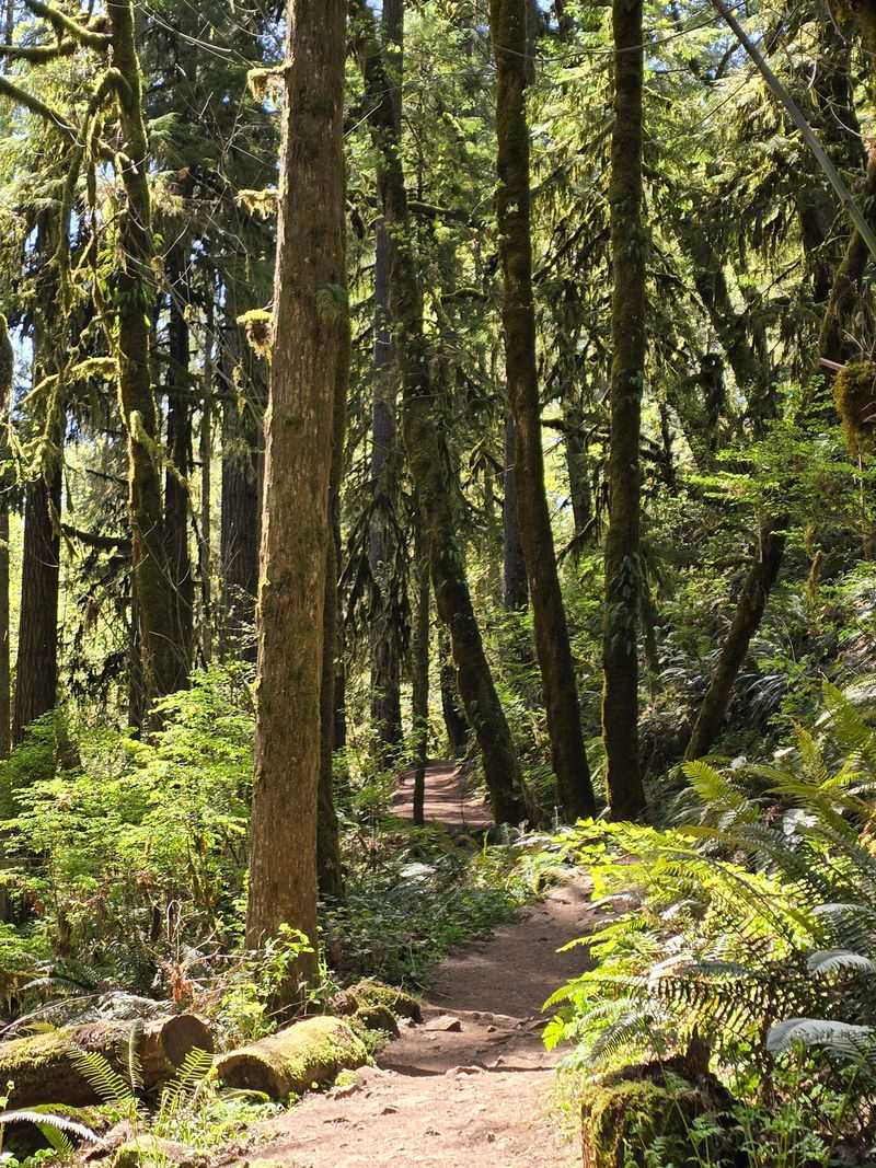 Quiet Corners To Linger