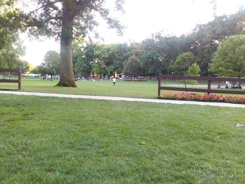 Family Friendly Play Zones