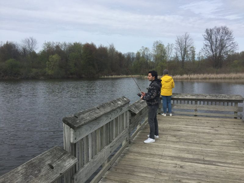 Trail Strolls and Birdwatching