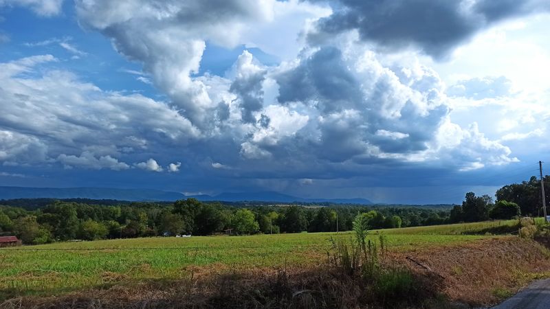 McMinn, Meigs & Monroe Counties (SE/East TN)