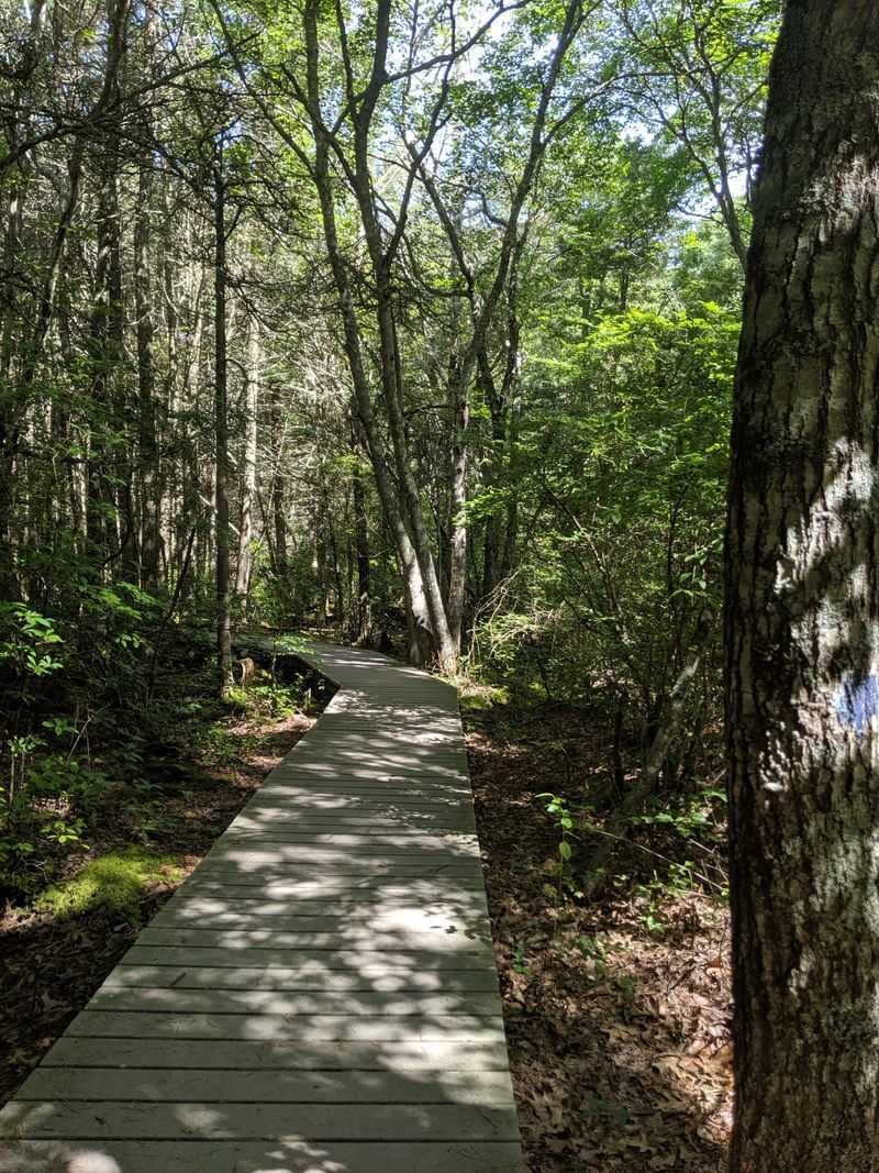 Ideal for All Skill Levels