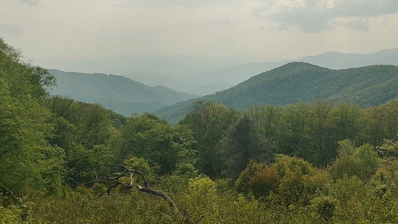 Waynesville, North Carolina