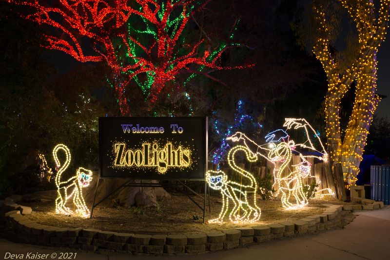 Phoenix ZooLights
