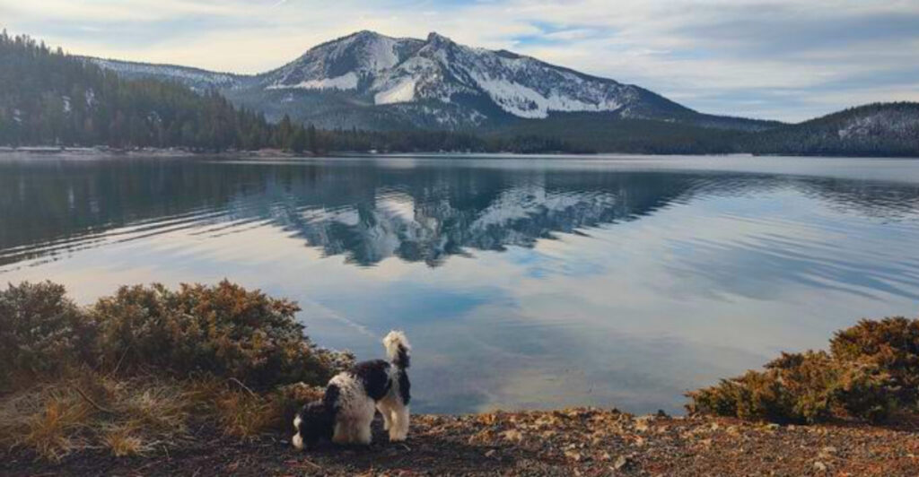 Forget Crowded Resorts: Oregon’s Secret Hot Springs Deliver Winter Bliss