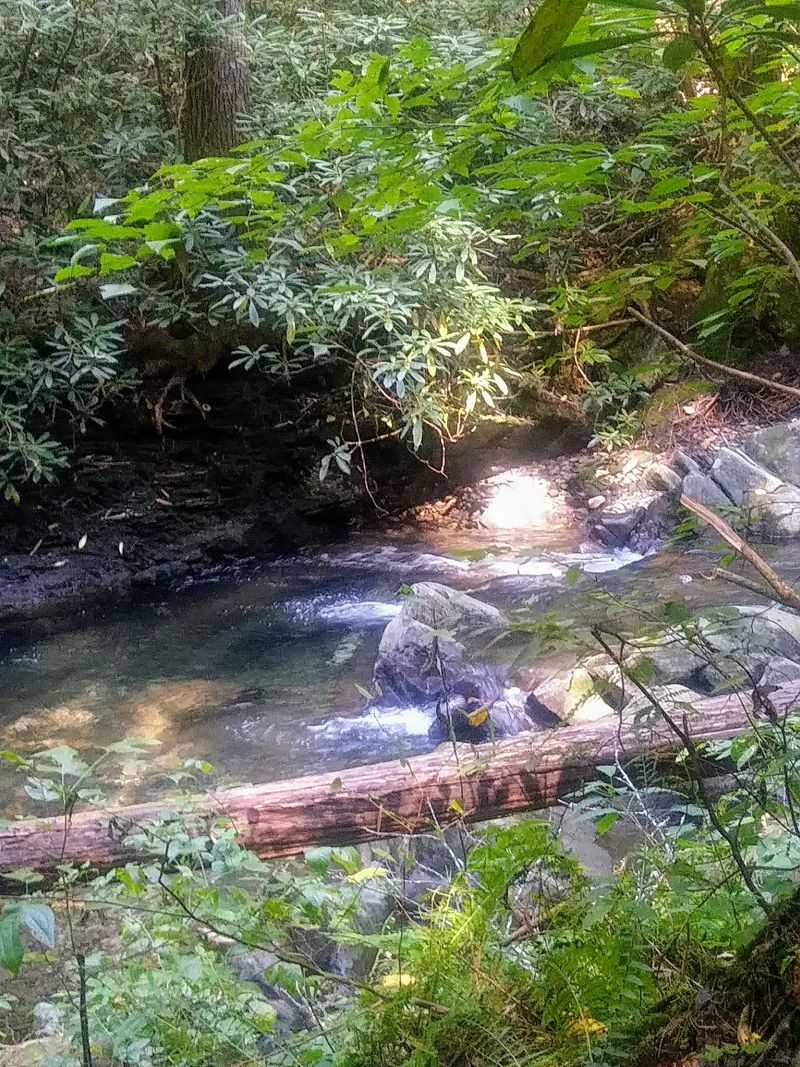 Double Springs Overlook