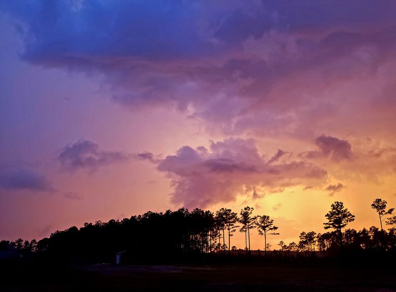 Megalodon Ledges of Onslow Bay