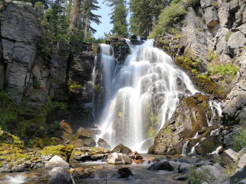 Science In Action, Monitored Daily