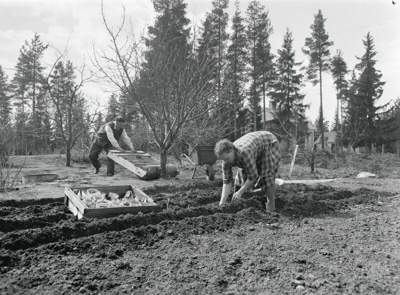 Composting & Reusing Organic Waste