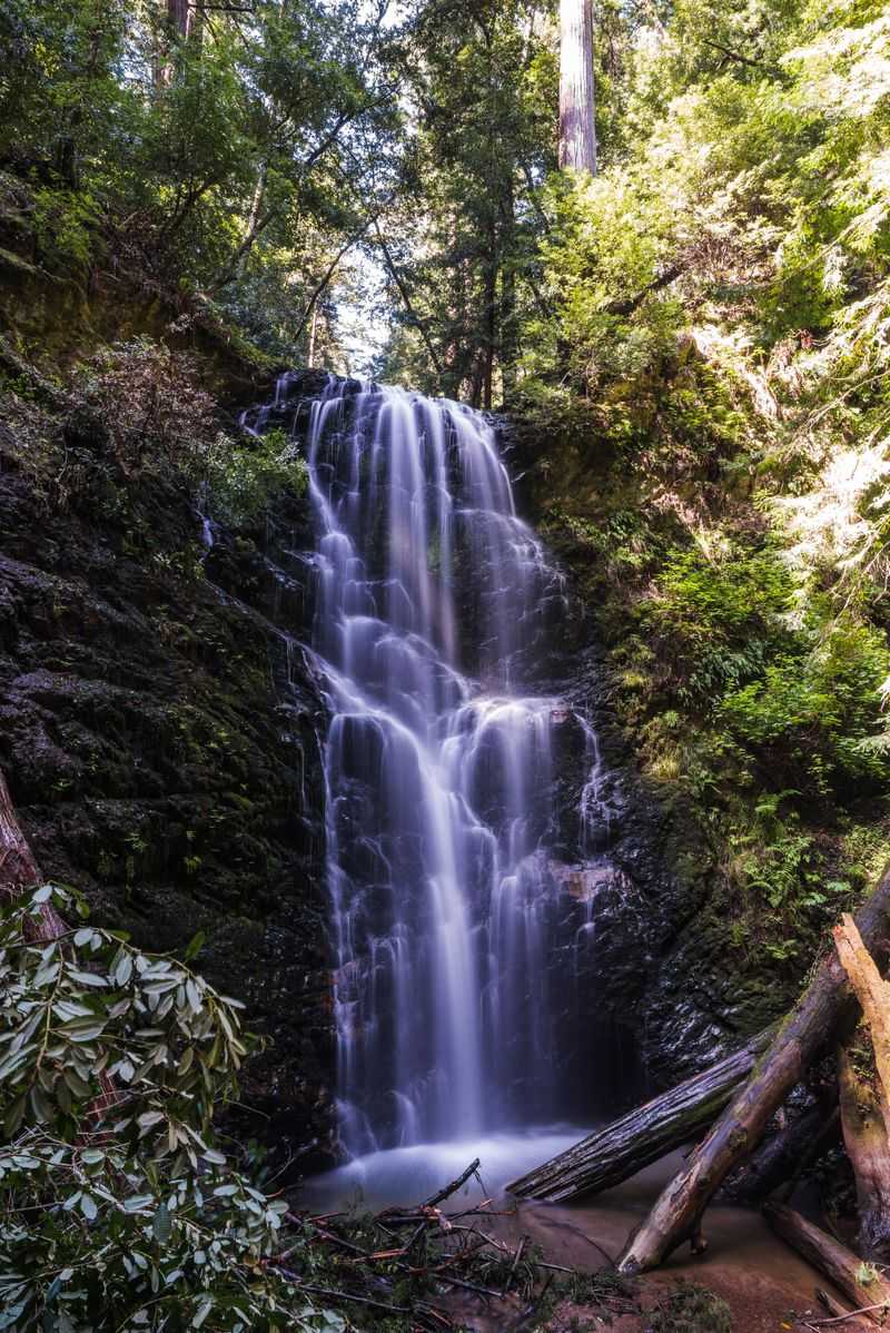 Scenic Hiking at Big Basin Redwoods State Park