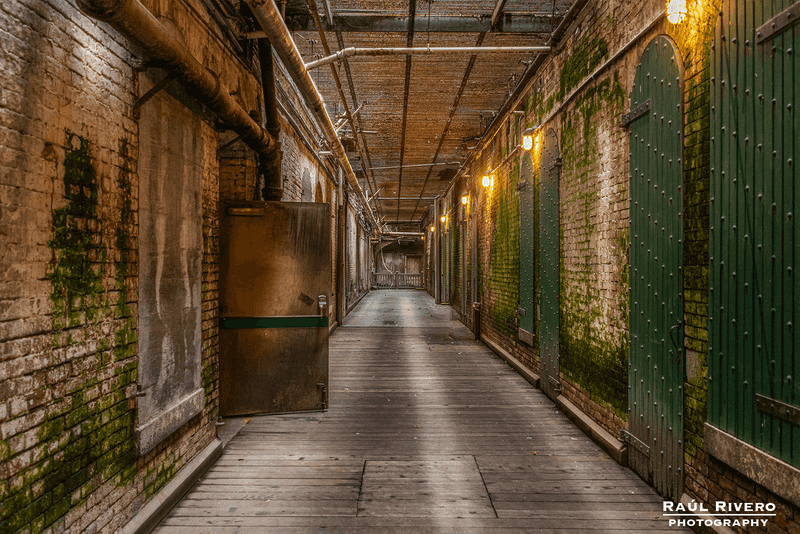 Timing Your Visit for Crowds and Light