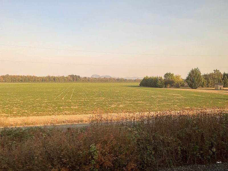 Wildlife Watching From Your Seat