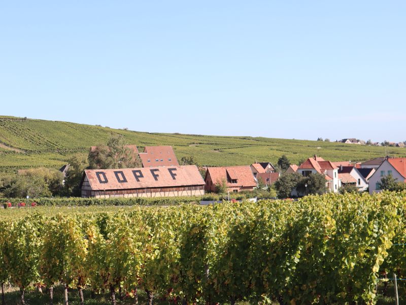 Riquewihr, France – Alsace's Storybook Wine Village