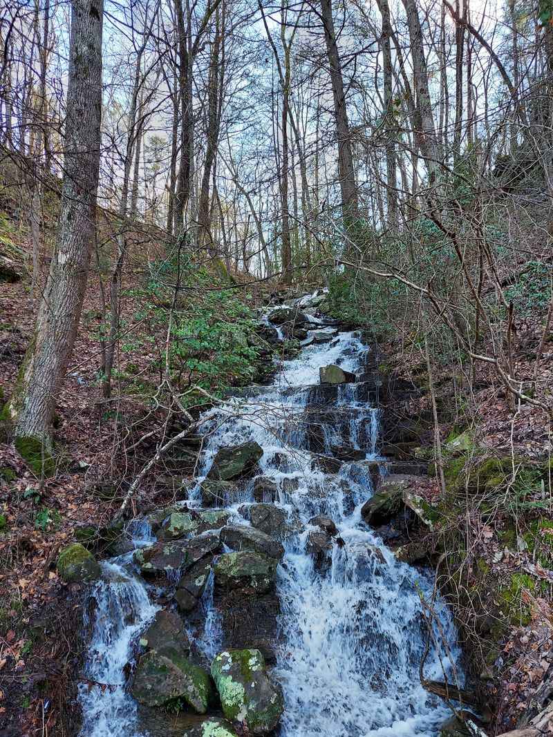 Rock Hopping Creek Crossing