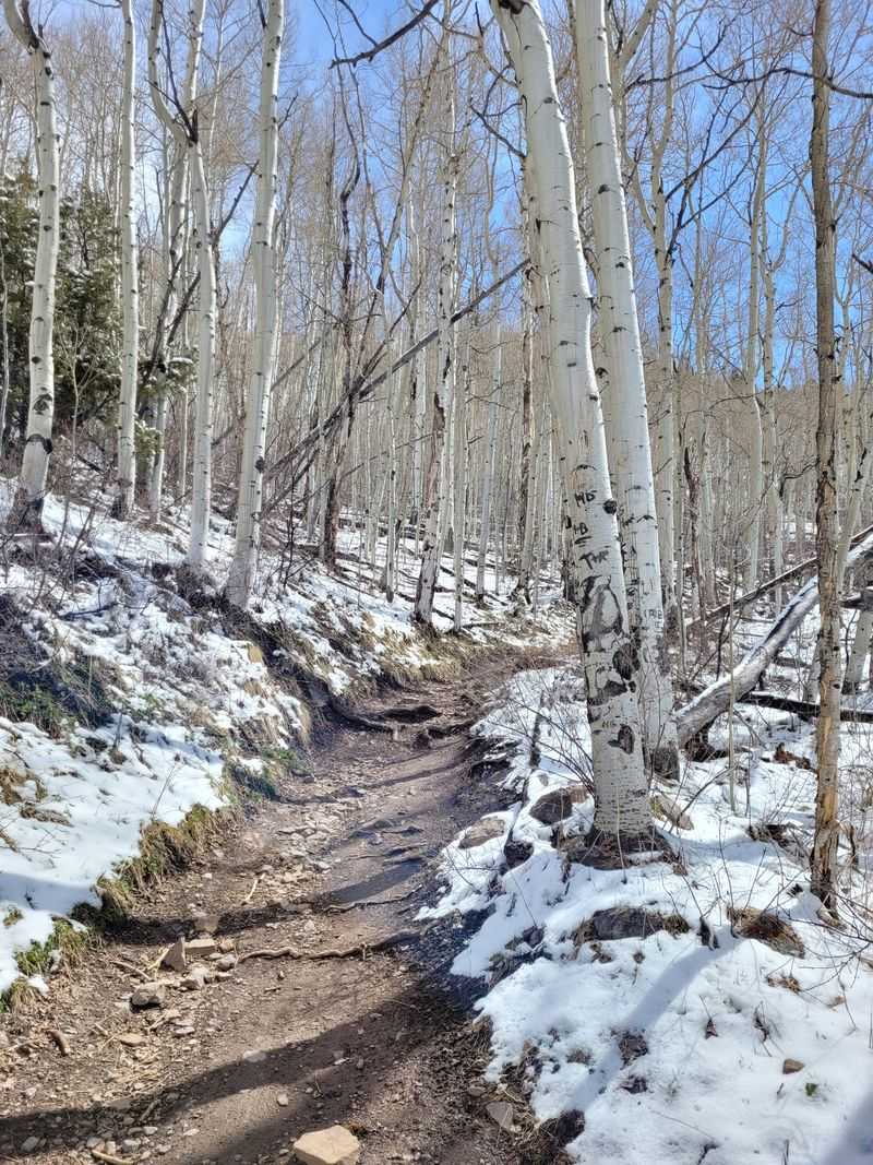 Jud Wiebe Trail – Telluride, Colorado