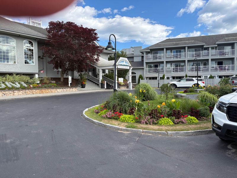 Shearwater at Stage Neck Inn (York Harbor)