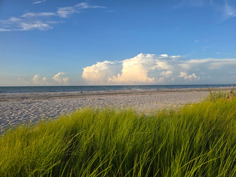Quiet Hidden Coves and Picnic Spots