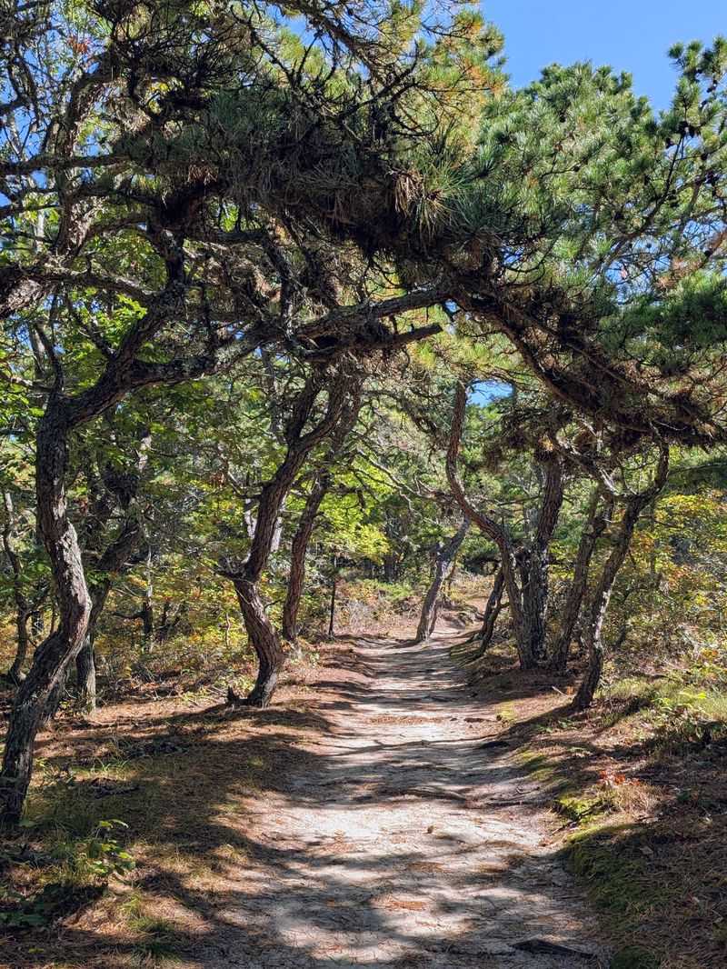 Not Just Swamp — History Too