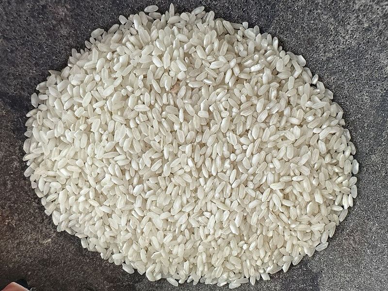 Rice