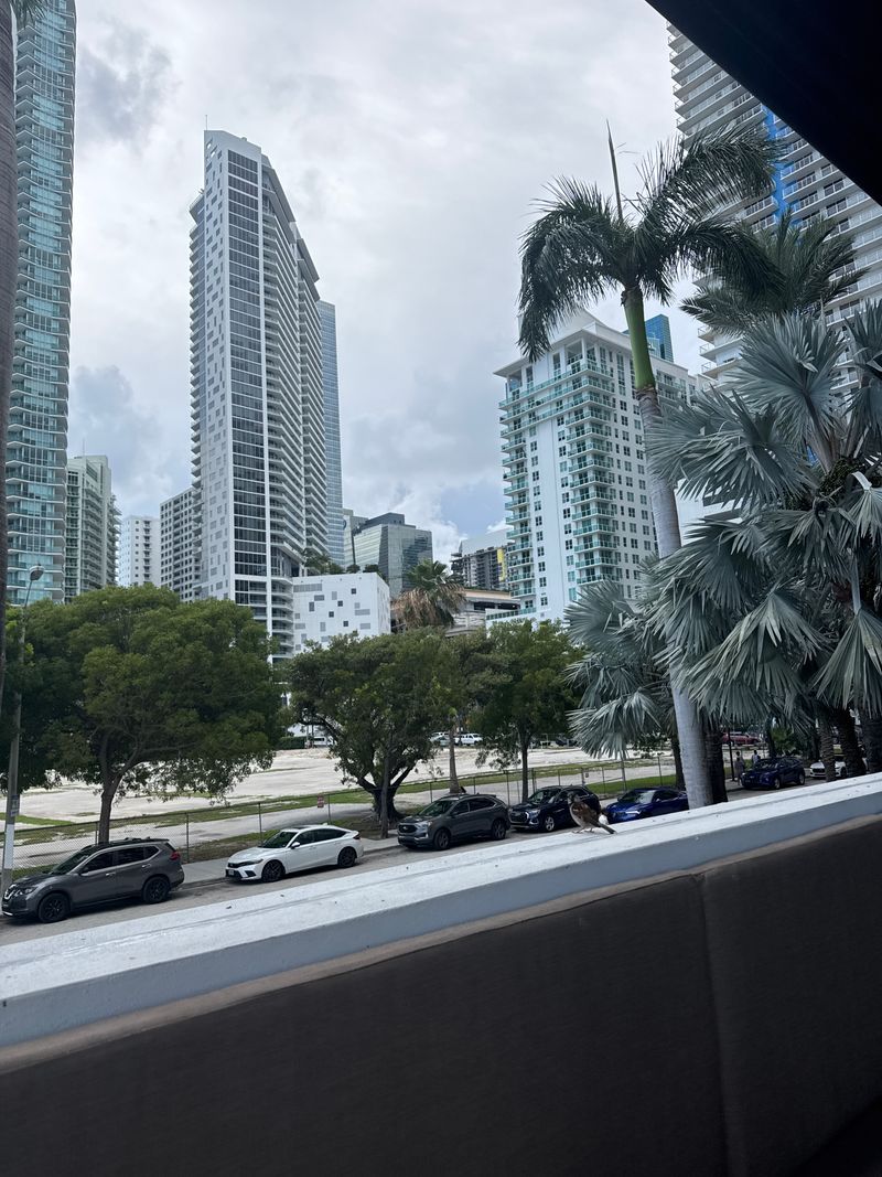 Locals Know: Parking And Arrival