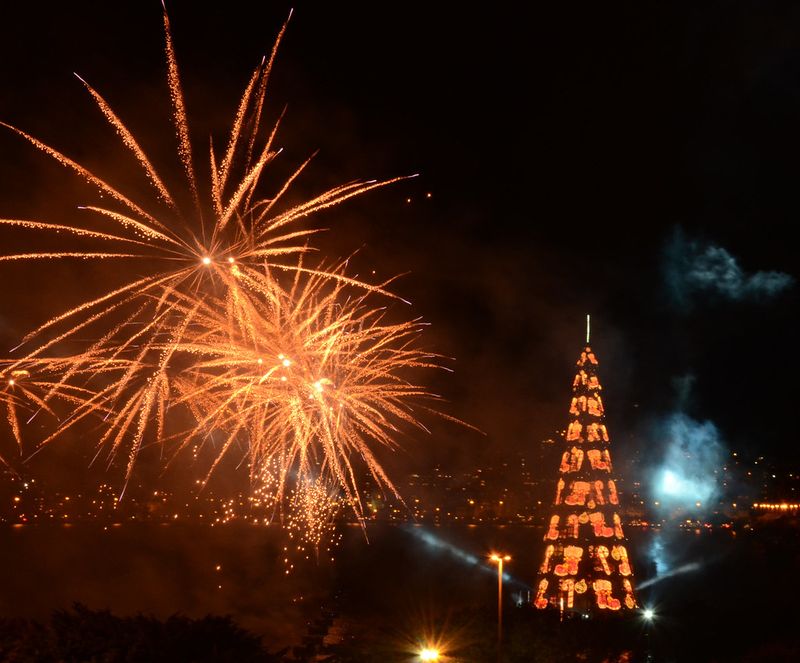 Rio de Janeiro, Brazil — Lagoa Rodrigo de Freitas Tree