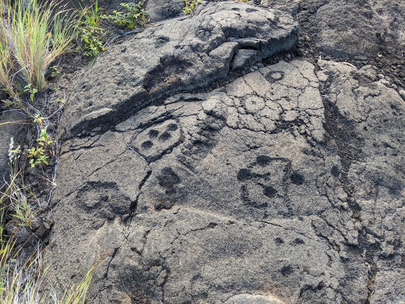 Puʻu Loa (Puʻuloa) Petroglyph Trail – Hawaiʻi Volcanoes National Park, Hawaiʻi