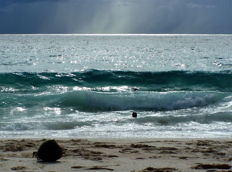 Outer Seychelles Islands — Wild Isles of the Indian Ocean