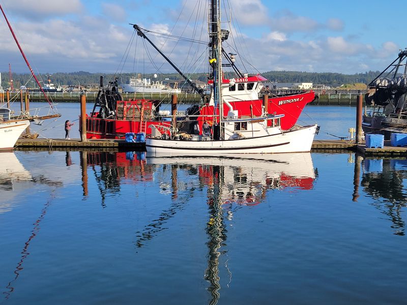 Fresh Off The Boat Sourcing