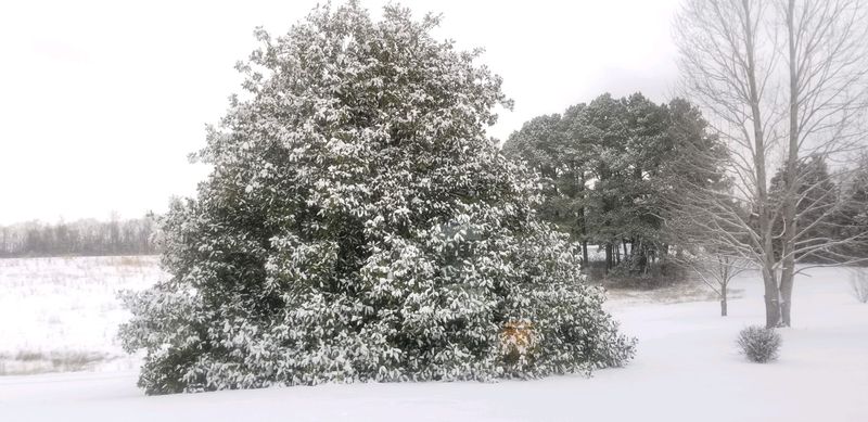 Lake Halford Access and Water Time