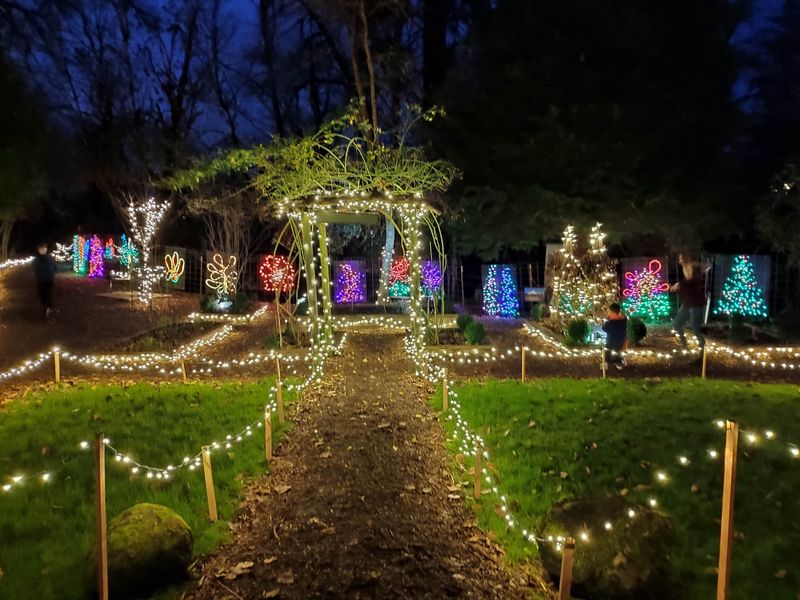 Bonus Stop: Maddax Woods in Winter