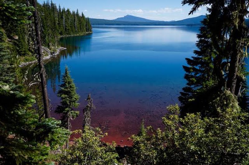 The Tale of Two Seasons