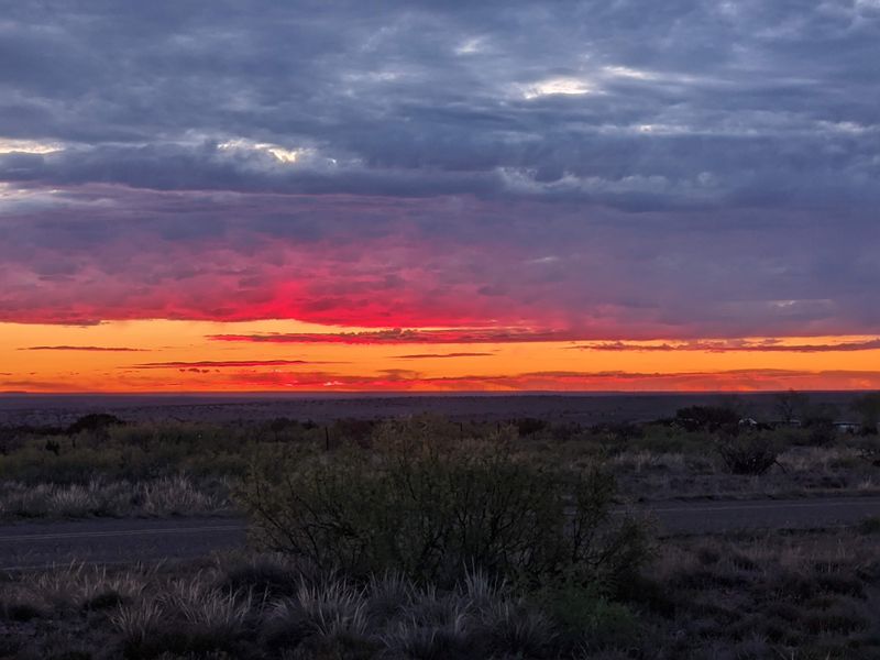 Roadrunners and Night Skies